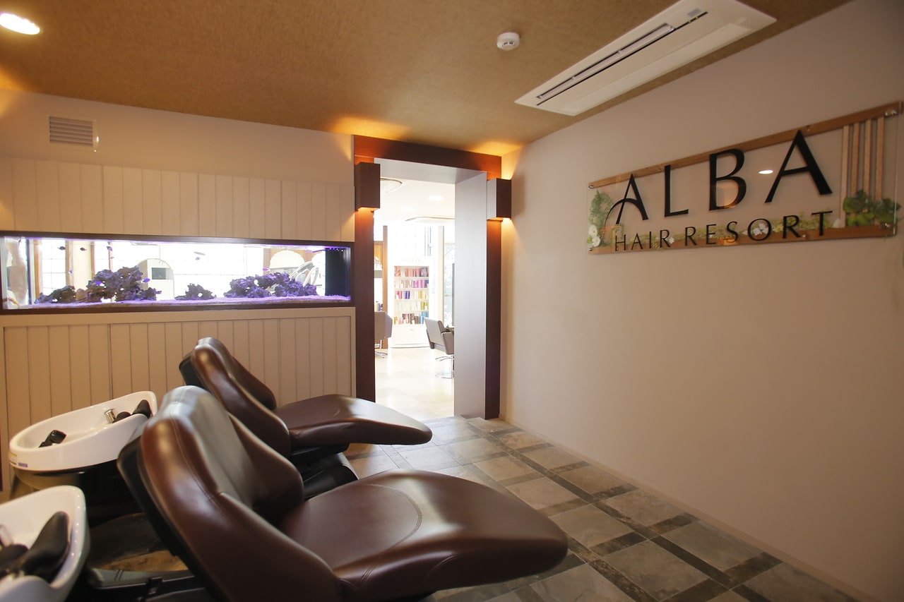 美容室ALBA hair resort求人画像
