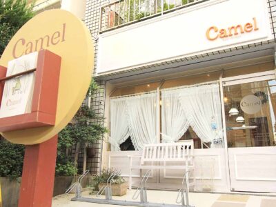 Camel hairdesign_求人画像