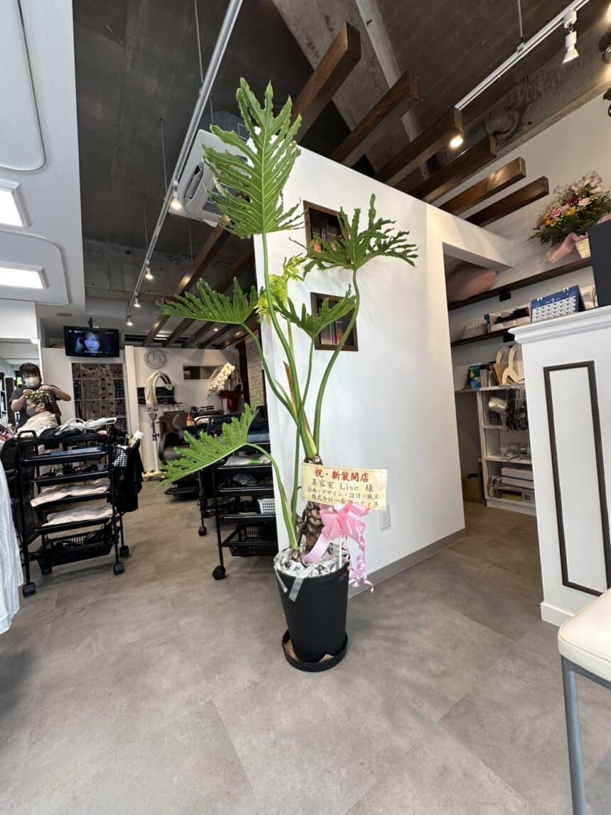 美容室 Lise_求人画像